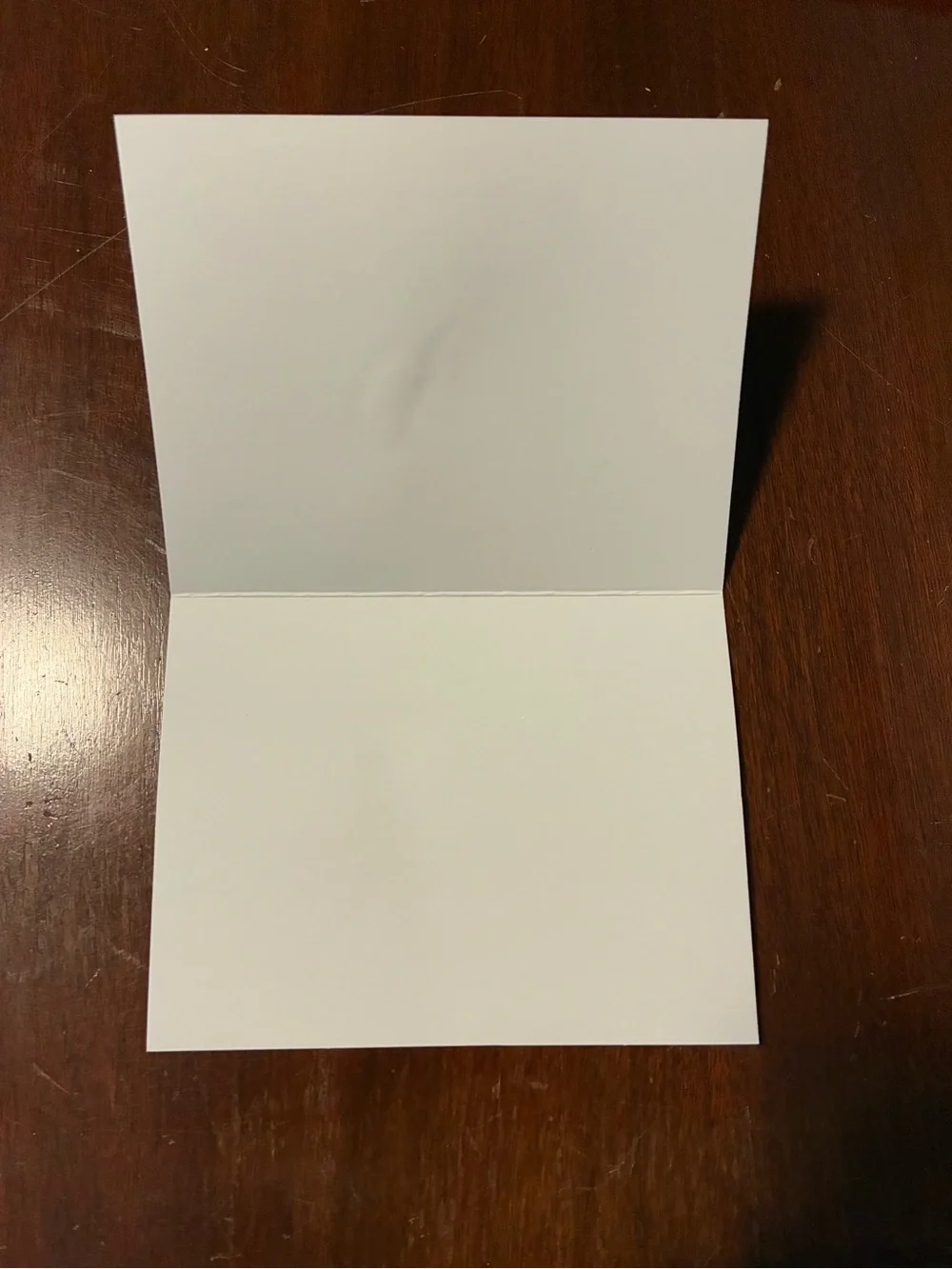 Handmade Pressed Flowers on Blank Note Card - Minimal Botanical Stationery